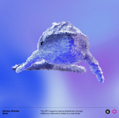 Epic Whale - 4bridges